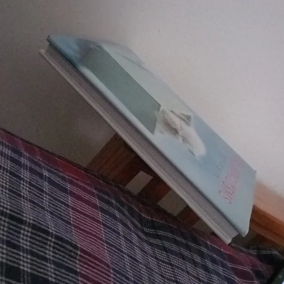 Book - Picture 4 of 6